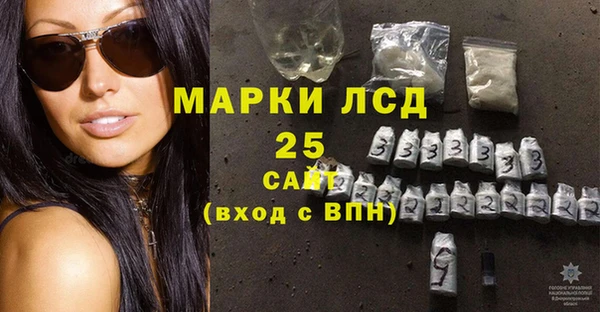 шишки Аркадак