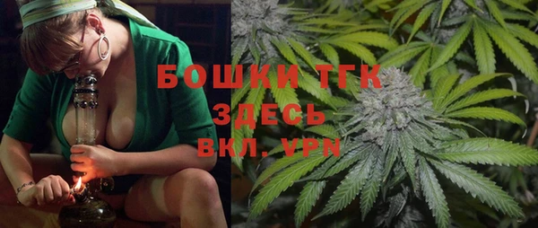 шишки Аркадак