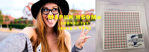 шишки Аркадак