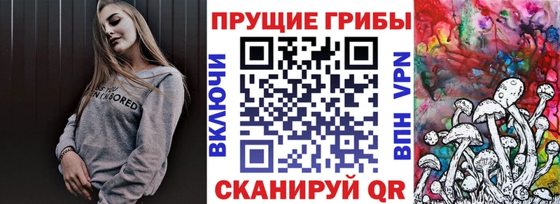 Галлюциногенные грибы Psilocybine cubensis  кракен ONION  Краснослободск 
